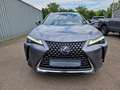 Lexus UX 250h Luxury Line ESD/WKR/HUD Grau - thumbnail 9
