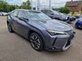 Lexus UX 250h Luxury Line ESD/WKR/HUD Grigio - thumbnail 8