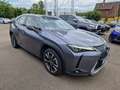 Lexus UX 250h Luxury Line ESD/WKR/HUD Gris - thumbnail 7