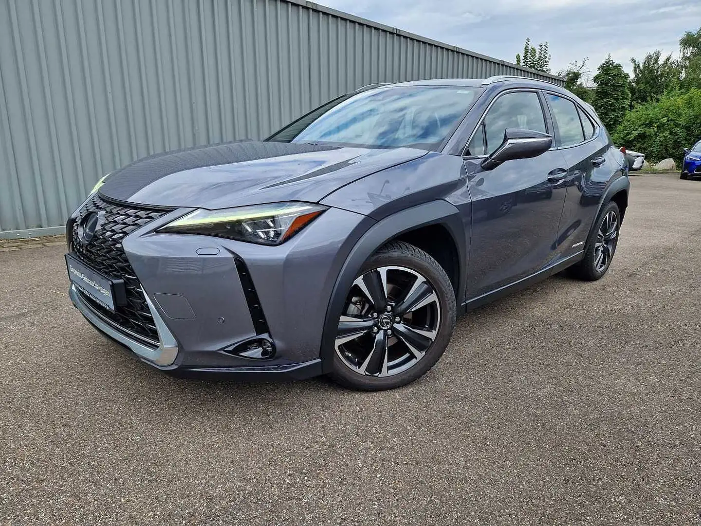 Lexus UX 250h Luxury Line ESD/WKR/HUD Gris - 1