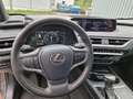 Lexus UX 250h Luxury Line ESD/WKR/HUD Grigio - thumbnail 11