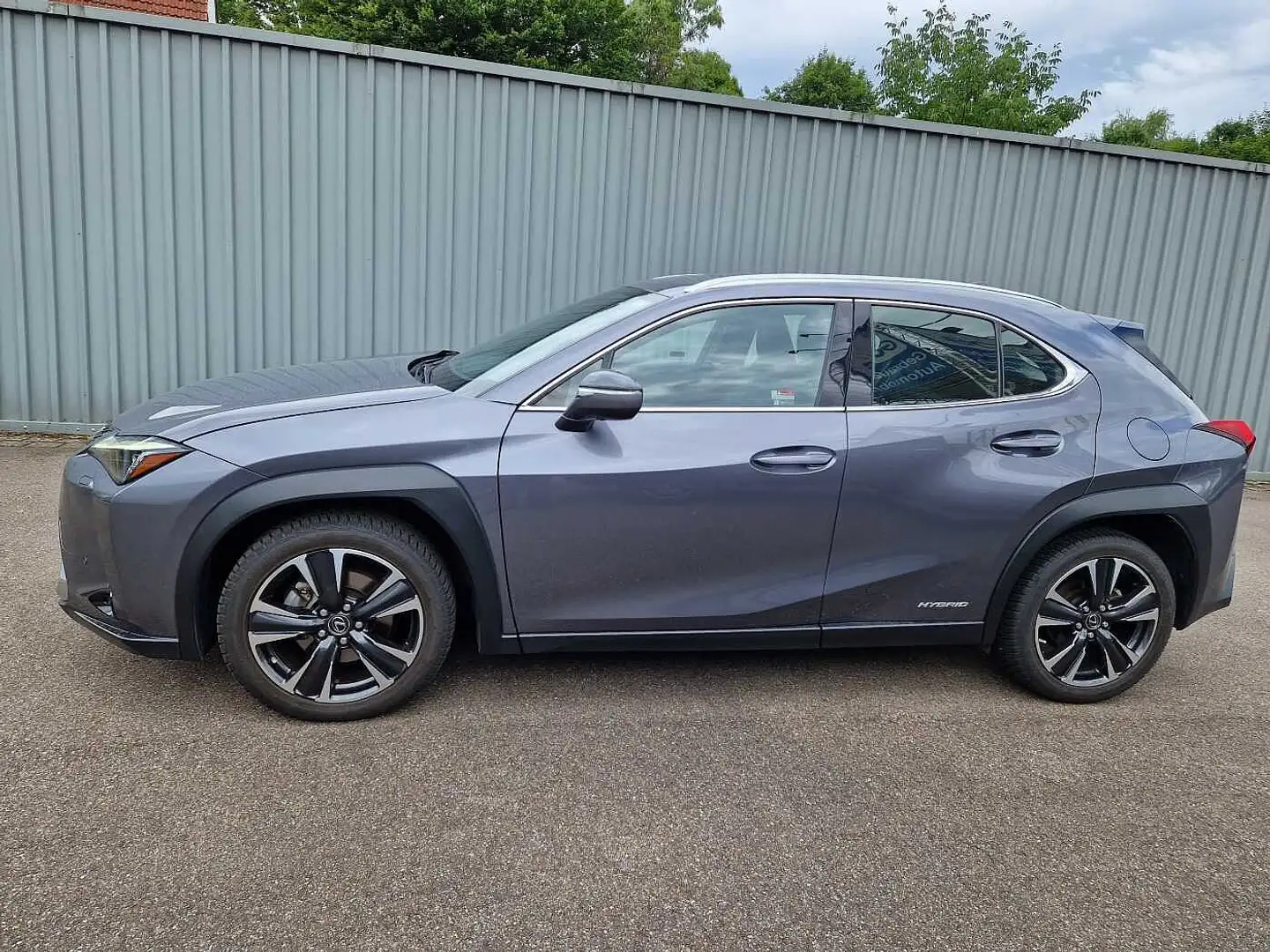 Lexus UX 250h Luxury Line ESD/WKR/HUD Gris - 2