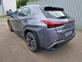 Lexus UX 250h Luxury Line ESD/WKR/HUD Grau - thumbnail 3
