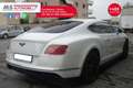 Bentley Continental GT Continental GT V8 S Unicoproprietario Bílá - thumbnail 13
