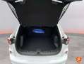 Ford Kuga 2.5 Duratec FHEV ST-Line 4x2 Aut. Blanc - thumbnail 10