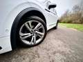 Volkswagen Tiguan Tiguan 1.5 TSI R-Line Business Premium OPF DSG Blanco - thumbnail 8