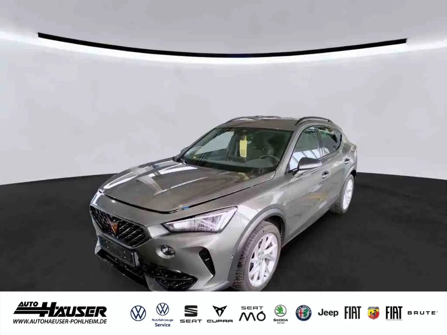 CUPRA Formentor VZ Tribe Edition 2.0 TSI DSG AHK BEATS EL. HECKKL. Grau - 1