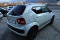 Suzuki Ignis 1.2 Dualjet 4WD All Grip Top Bianco - thumbnail 5