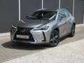Lexus UX 250h HYBRID *Trekhaak* +LEDER +Zetelverwarming +GPS Beige - thumbnail 2