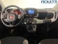 Fiat Panda 3ª SERIE 1.0 FIREFLY S&S HYBRID RED Grigio - thumbnail 6