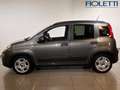 Fiat Panda 3ª SERIE 1.0 FIREFLY S&S HYBRID RED Grigio - thumbnail 4