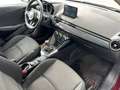 Mazda 2 G90 Takumi Rot - thumbnail 8