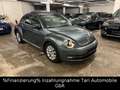 Volkswagen Beetle 1.6 TDI Design Navi,Keyless,Pano.,2xPDC Grau - thumbnail 12