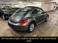 Volkswagen Beetle 1.6 TDI Design Navi,Keyless,Pano.,2xPDC Grau - thumbnail 11