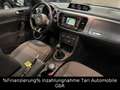 Volkswagen Beetle 1.6 TDI Design Navi,Keyless,Pano.,2xPDC Grau - thumbnail 15