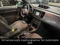 Volkswagen Beetle 1.6 TDI Design Navi,Keyless,Pano.,2xPDC Grau - thumbnail 6