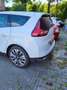 Renault Scenic 1.3 TCe Business Zen Wit - thumbnail 1