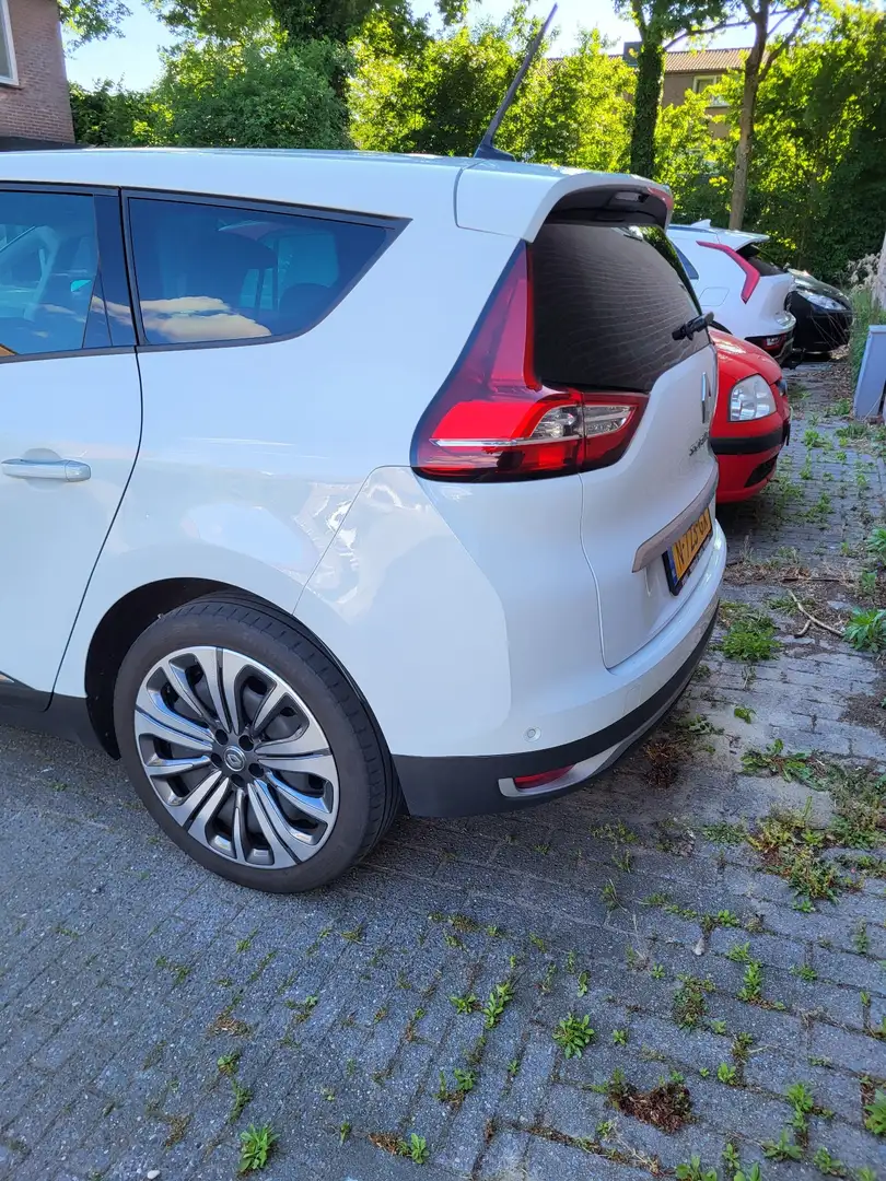Renault Scenic 1.3 TCe Business Zen Wit - 1