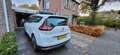 Renault Scenic 1.3 TCe Business Zen Wit - thumbnail 14