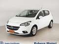 Opel Corsa Corsa 2015 5p 1.3 cdti 75 CV - thumbnail 1