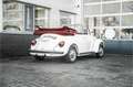 Volkswagen Kever Cabriolet 1200 | originele Karmann | Nieuwstaat | Blanco - thumbnail 3