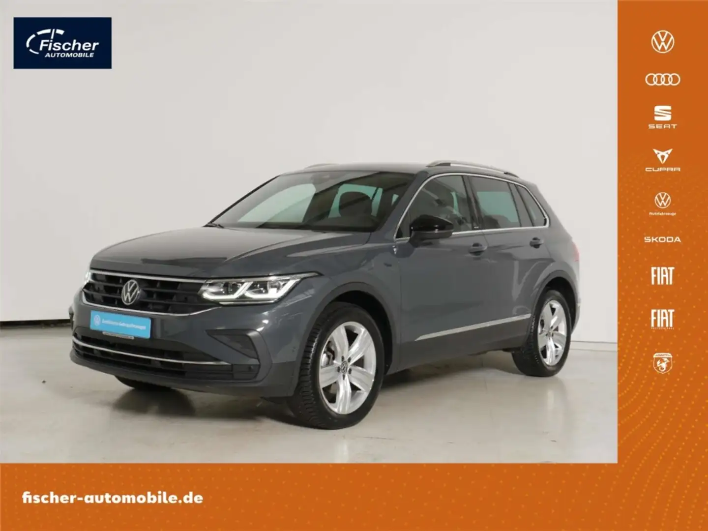 Volkswagen Tiguan 2.0 TDI 4Mot. Move DSG AHK/Matrix/NAV/RFK Grau - 1