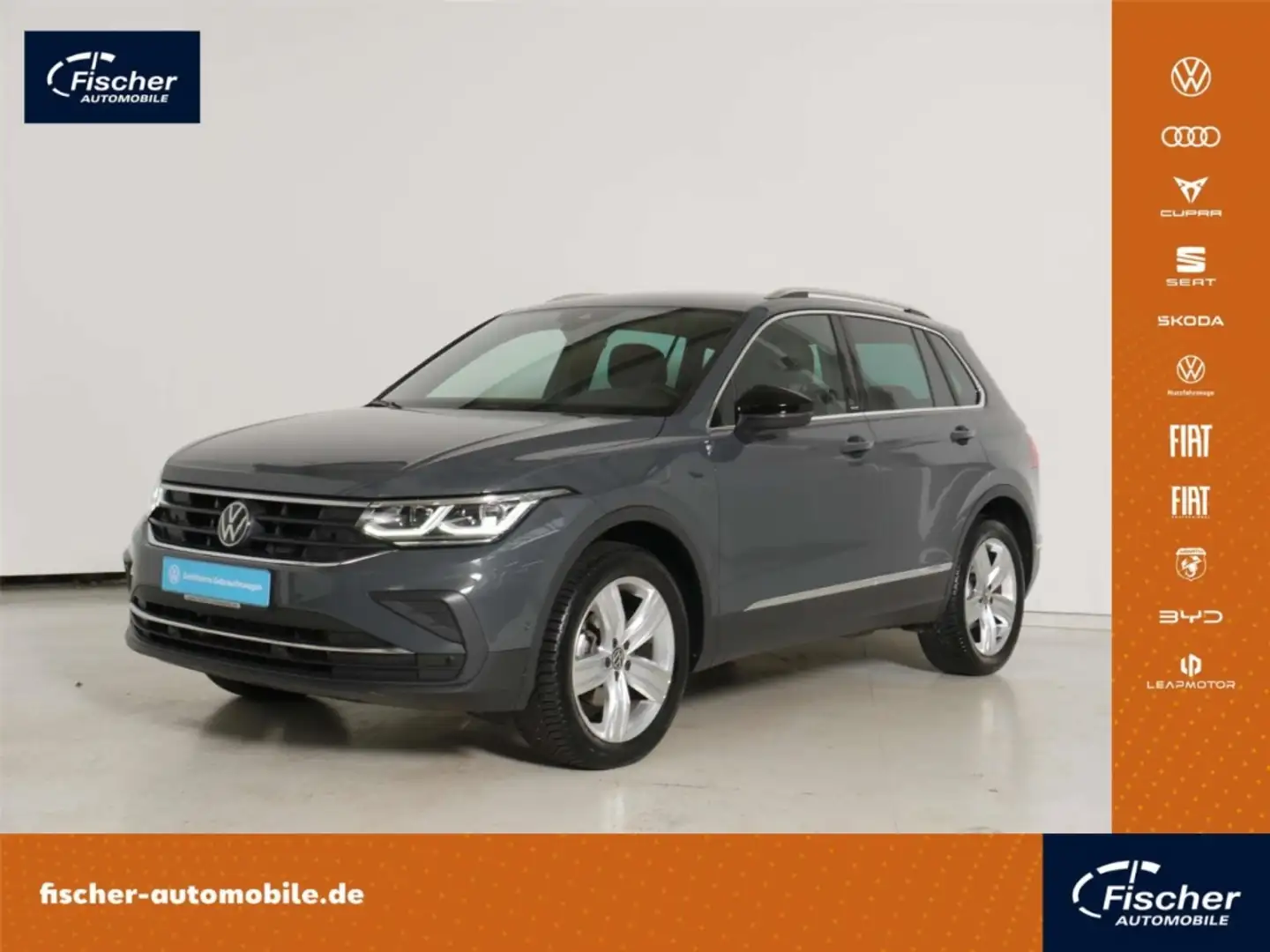 Volkswagen Tiguan 2.0 TDI 4Mot. Move DSG AHK/Matrix/NAV/RFK Grau - 1