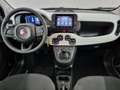 Fiat Panda 1.0 FireFly S&S Hybrid Pandina Blu/Azzurro - thumbnail 7