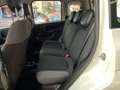 Fiat Panda Panda 1.2 Easy 69cv Bianco - thumbnail 8
