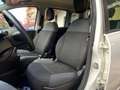 Fiat Panda Panda 1.2 Easy 69cv Bianco - thumbnail 7