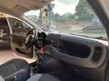 Fiat Panda Panda 1.2 Easy 69cv Bianco - thumbnail 12