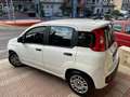 Fiat Panda Panda 1.2 Easy 69cv Bianco - thumbnail 4