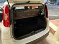 Fiat Panda Panda 1.2 Easy 69cv Bianco - thumbnail 10