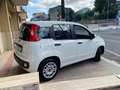 Fiat Panda Panda 1.2 Easy 69cv Bianco - thumbnail 5