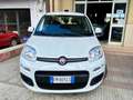 Fiat Panda Panda 1.2 Easy 69cv Bianco - thumbnail 2
