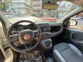 Fiat Panda Panda 1.2 Easy 69cv Bianco - thumbnail 14