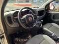 Fiat Panda Panda 1.2 Easy 69cv Bianco - thumbnail 6