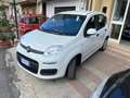 Fiat Panda Panda 1.2 Easy 69cv Bianco - thumbnail 3