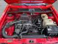 Volkswagen Golf Cabriolet Golf Cabriolet 1.6 GL GL Rojo - thumbnail 13