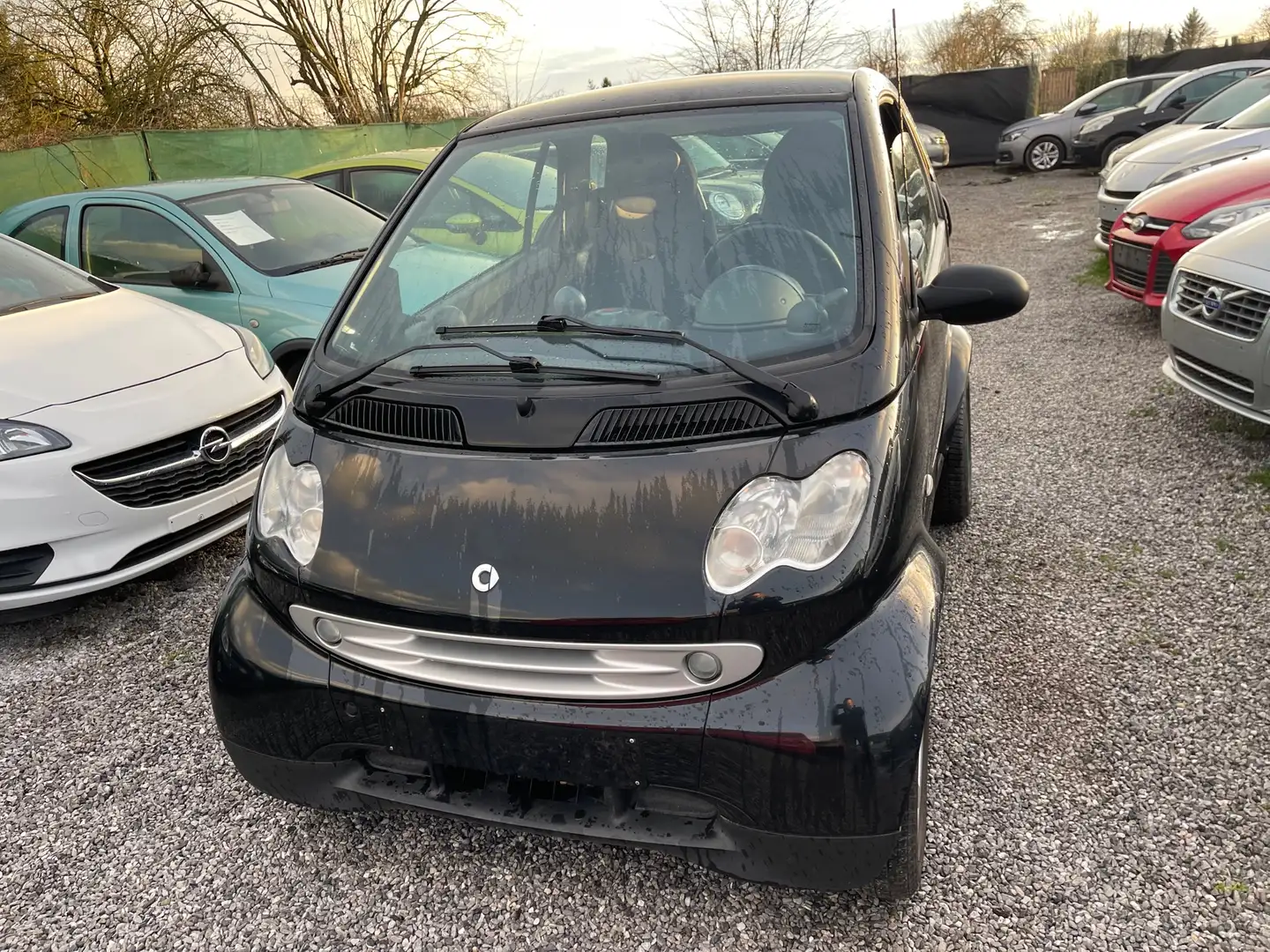 smart forTwo 0.7 Turbo Pure Softouch Schwarz - 2