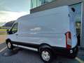 Ford Transit Transit Kasten 2,0 EcoBlue L2H2 350 Trend Weiß - thumbnail 3