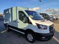 Ford Transit Transit Kasten 2,0 EcoBlue L2H2 350 Trend Weiß - thumbnail 6