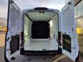 Ford Transit Transit Kasten 2,0 EcoBlue L2H2 350 Trend Weiß - thumbnail 9