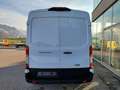 Ford Transit Transit Kasten 2,0 EcoBlue L2H2 350 Trend Weiß - thumbnail 4