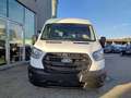Ford Transit Transit Kasten 2,0 EcoBlue L2H2 350 Trend Weiß - thumbnail 7