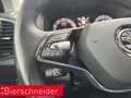 Skoda Karoq 1.5 TSI DSG Clever Pano AHK REAR VIEW LED Blau - thumbnail 38