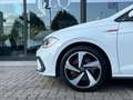 Volkswagen Polo GTI 2.0 tsi dsg Bianco - thumbnail 7