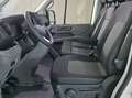 Volkswagen Crafter VW Crafter 35 T6 Kastenwagen L3H3 TDI Weiß - thumbnail 14