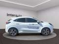 Ford Puma 1.0 ecoboost h ST-Line125cv Bianco - thumbnail 11