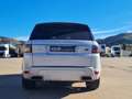 Land Rover Range Rover Sport 5.0 V8 SC Autobiography Dynamic Aut. Blanco - thumbnail 4